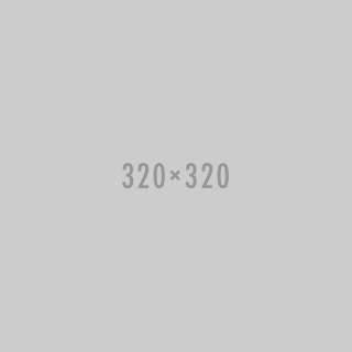 320x320